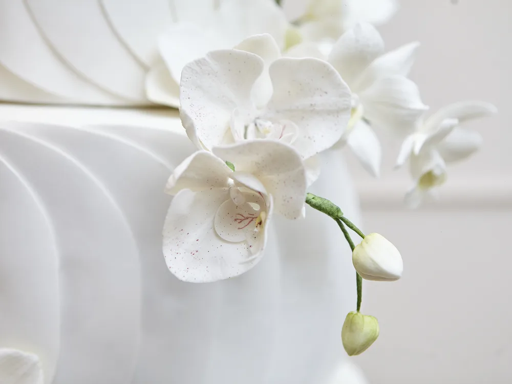 Close de orquídeas phalaenopsis de açúcar feitas à mão pela Momento Cake
